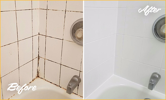 Before and After Picture of a Silvana Shower Tile and Grout Cleaned to Eliminate Mold