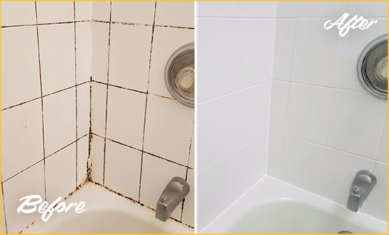 Before and After Picture of a Lake Stevens Shower Tile and Grout Cleaned to Eliminate Mold