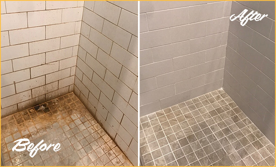 Before and After Picture of a Kenmore Shower Tile and Grout Cleaned to Eliminate Mold and Stains