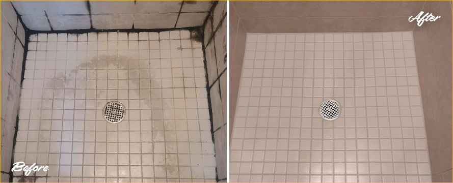 Shower Tiles and Seams Before and After a Grout Cleaning in Seattle