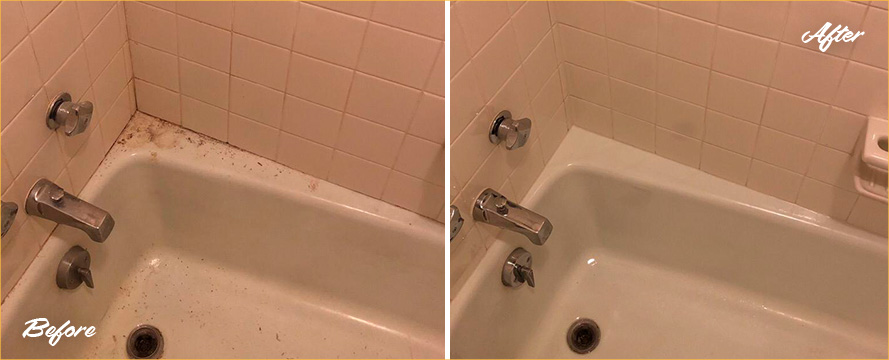 Shower Before and After a Superb Grout Cleaning in Brier, WA